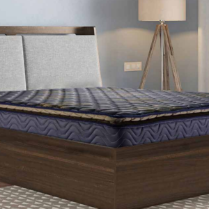 Aristo PT Mattress(6ft) Relaxwell Hari Om Furnitures