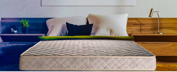 Technosoft Mattress(5ft) Relaxwell Hari Om Furnitures