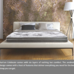 Celebrate Mattress(6"Inch) Kurl-on Hari Om Furnitures