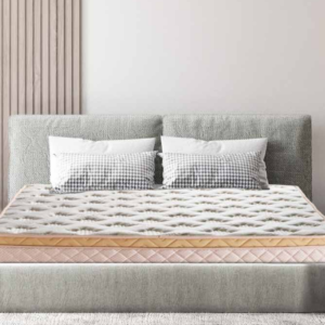 Exotica DLX ET Mattress(6ft) Relaxwell Hari Om Furnitures