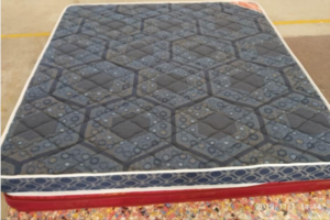 SHISHA(6 Inch Mattress) Kurl-on Hari Om Furnitures