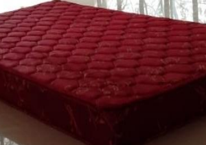SPARKLE(5 Inch Mattress) Kurl-on Hari Om Furnitures