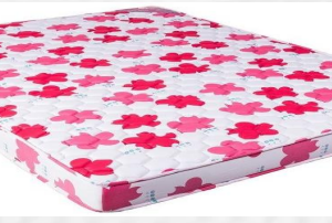 Super Deluxe(4 Inch Mattress) Kurl-on Hari Om Furnitures